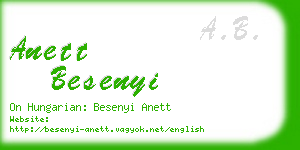 anett besenyi business card